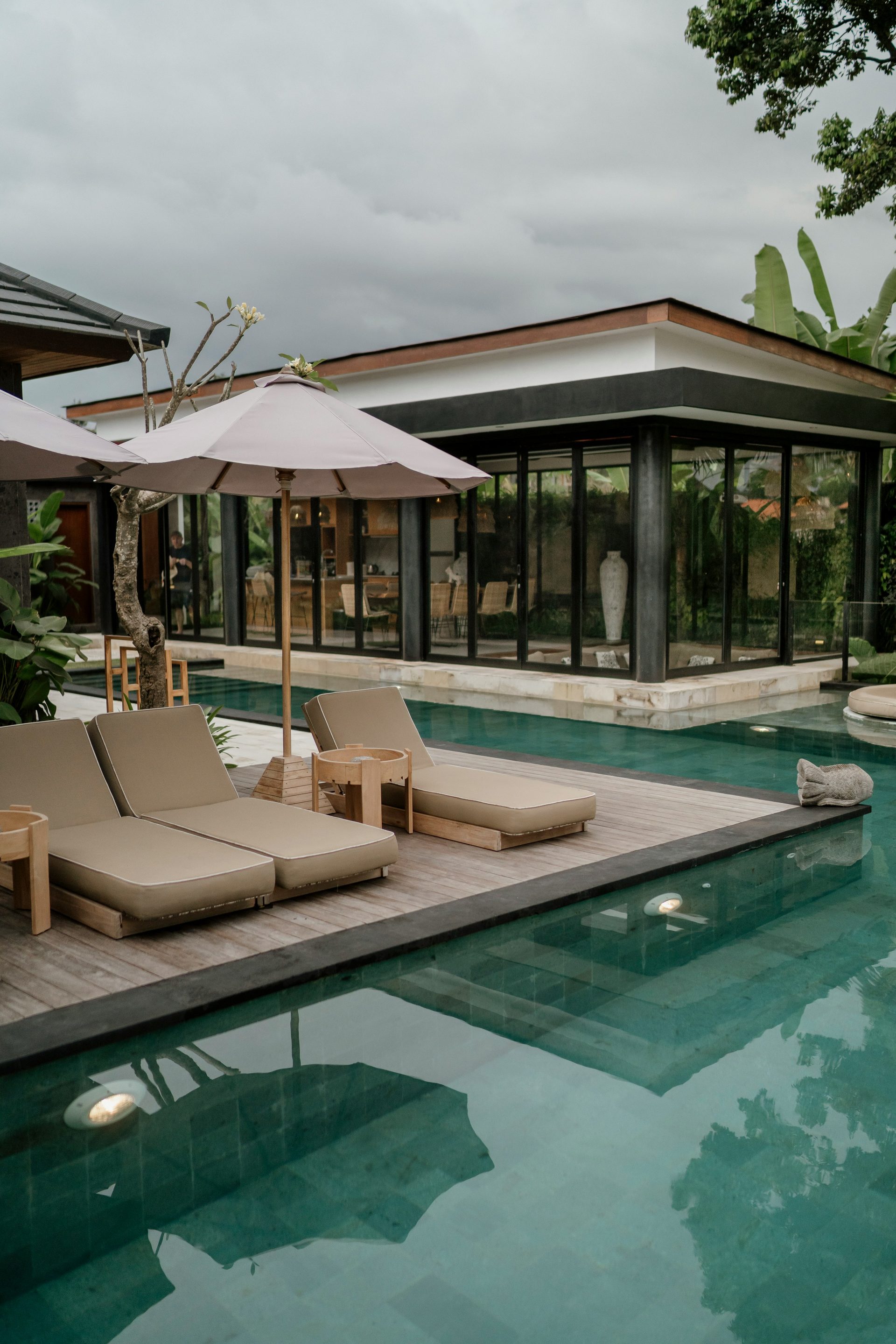 Pool deck with palm tree